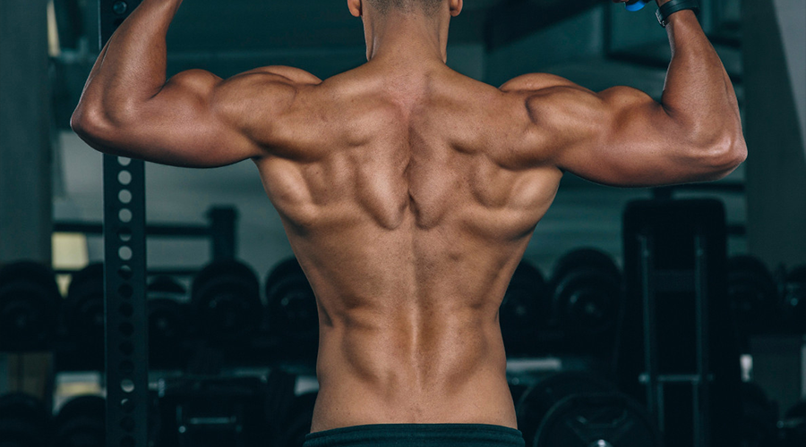 آموزش حرکات بدنسازی با ویدیو