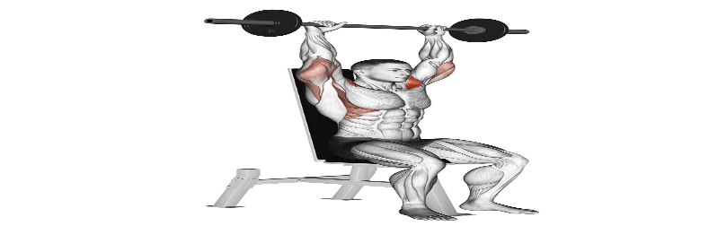 تفاوت های میان دمبل و هالتر چیست